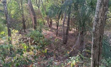 03 lotes juntos no loteamento Batec no coxipó do ouro a 22 km da fundação Brades