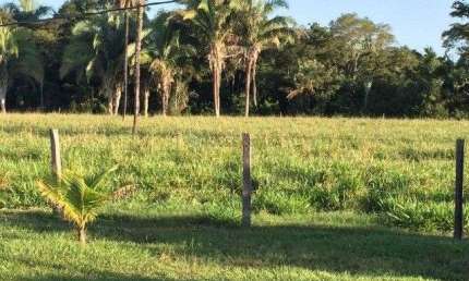 Fazenda à venda na pertinho de Cuiabá MT, 3223, Porto de Fora, Santo Antônio do Leverger, 110 m2 por R$ 2.000.000
