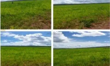 Fazenda à venda na Av Principal, 02, Zona Rural, Nobres