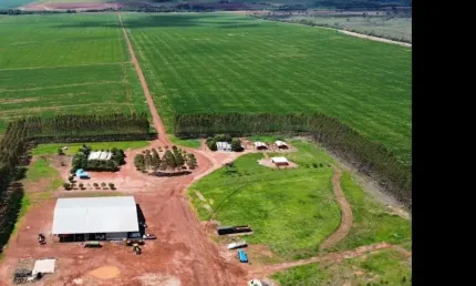FAZENDA  A  VENDA  DE  5.700 HECTARES  EM  PARANATINGA - MT