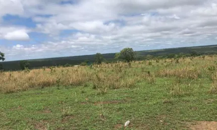 Fazenda à venda na Fazenda em nova Xavantina, 1, Zona Rural, Cuiabá, 100 m2 por R$ 7.000.000