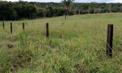 Vendo Excelente Fazenda na Divisa MT/RO Porteira Fechada