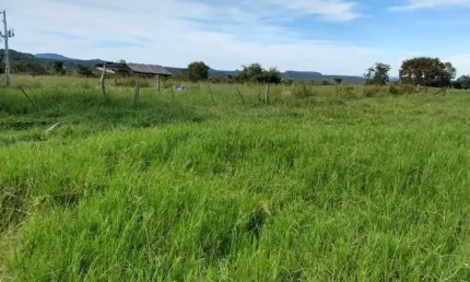Fazenda à venda na Zona Rural, 254, Zona Rural, Tesouro