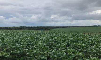 Fazenda à venda na Zona Rural, 255, Zona Rural, Primavera do Leste