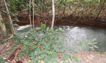 Chácara / sítio com 5 quartos à venda na Sítio, sn, Zona Rural, Campo Verde
