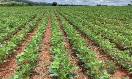 Fazenda à venda na Estrada Rural, 30, Zona Rural, Nobres