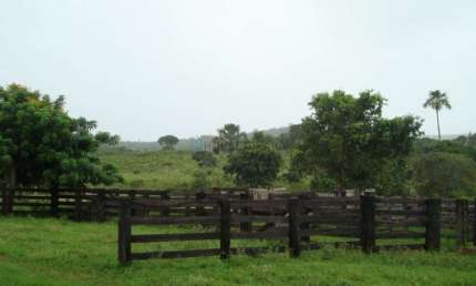 Fazenda à venda na Zona Rural, 1, Zona Rural, Primavera do Leste, 3280000 m2 por R$ 7.000.000