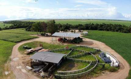 Fazenda à venda na Avenida Ville Roy, 17, Área Rural de Boa Vista, Boa Vista, 600 m2