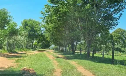 Fazenda à venda na Estrada Rural, 15, Zona Rural, Cáceres