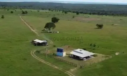 NEGOCIO DE OPORTUNIDADE FAZENDA 400 HECTARES EM RONDONOPOLIS - MT