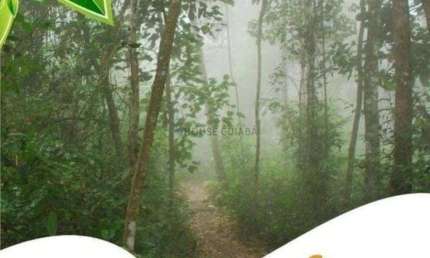 Terreno à venda na Avenida Dos Bororos, Zona Rural, Chapada dos Guimarães