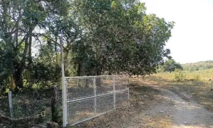 Chácara / sítio com 3 quartos à venda na Nossa Senhora Da Guia/mt, 10, Zona Rural, Acorizal