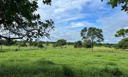 sitio com 16 hectares, sendo 12 todo formado na regão do 120, escriturados  com