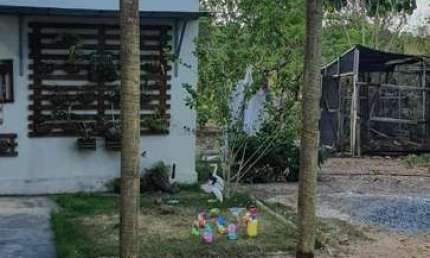 Chácara / sítio com 4 quartos à venda na Manso, 23 de Setembro, Cuiabá