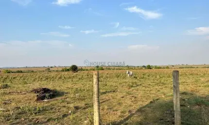 FAZENDA A VENDA EM VILA RICA-MT COM 12.900 HECTARES