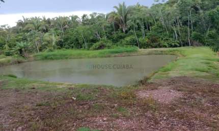 sitio com 8 hectares na região da cidade de Nossa Senhora do Livramento MT