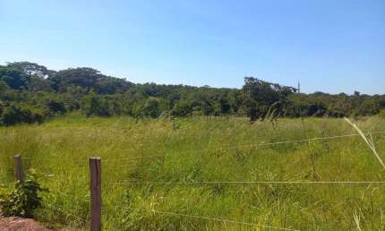 chácara de 2,9 hectares toda no cerradão bruto sem benfeitorias, toda cercada