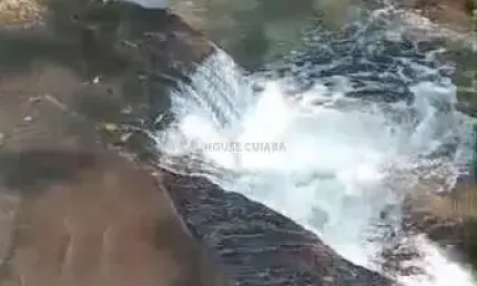 Sitio de 6,6 hectares todo escriturado e dia, situado na região do rio do sul.