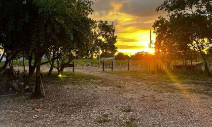 Chácara / sítio com 2 quartos à venda na Urbano, 05, Zona Rural, Nossa Senhora do Livramento