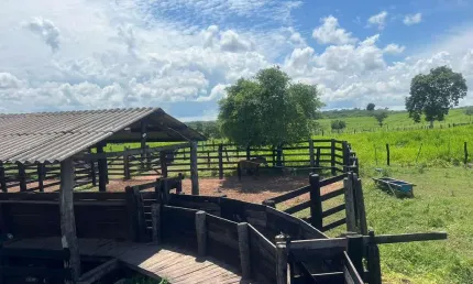 Fazenda à venda na Área Rural, 1, Zona Rural, Cuiabá