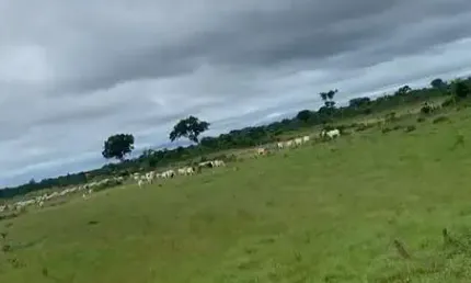 fazenda com 517 hectares na região entre a cidade de Nossa Senhora do Livramento