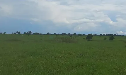 Fazenda de 1.015 alqueires (4.912,6 hectares). Terra dupla aptidão com estrutura