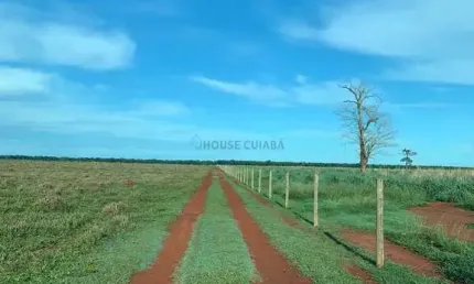 fazenda de 159 alqueires no município de Santa fé no estado de Goiás