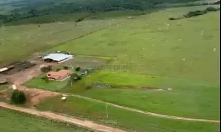 fazenda no município de Niquelândia no estado de Goiás