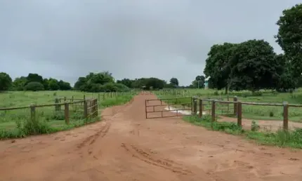 fazenda dupla aptidão com 583 alqueires no município de Jussara 70 km