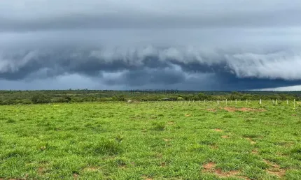 fazenda de 150 hectares toda escriturada e em dia, na beira do lago do manso