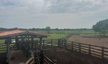 fazenda de 110 alqueires no município da cidade de Cocalinho