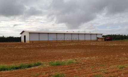 fazenda com área de 12 mil hectares com 8.600 hectares em lavoura