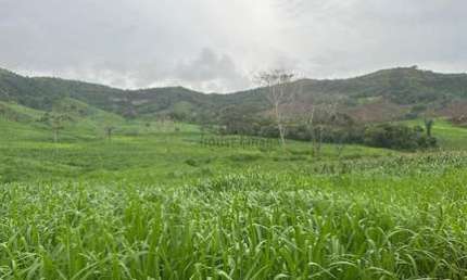 área de terra de 247 alqueires com excelente localização na região da cidade de