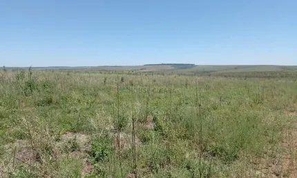 Área de terra de 1.132 hectares no Município de Cristalina