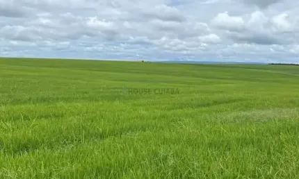 fazenda de 968 hectares na região do Município de Cristalina Goiás