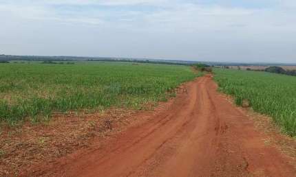 fazenda de 150 alqueires (360 hectares), com 100 alqueres plantado de cana em Ub