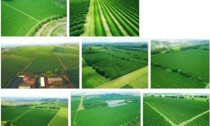fazenda de Café sendo uma área de 2.653 Hectares, 548,14 Alqueires