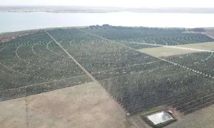 fazenda de 158,33 hectares na região da cidade de Votuporanga