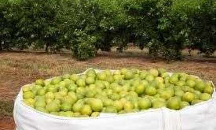 área total de 357,0247 Alqueires, (856,85928 hectares) localizada no estado de S
