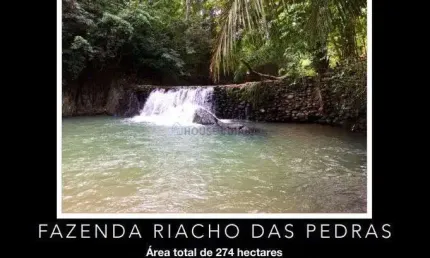 Fazenda à venda na Zona Rural, zona rural, Zona Rural, Acorizal