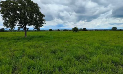 Fazenda com dupla aptidão no município a cidade de araguapaz no estado de goias