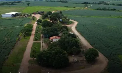 fazenda de grãos e pecuária na região de Araguaína TO. Fazenda com 5.300 hectare
