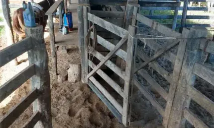 Fazenda de 2.243 hectares na região da cidade de Tesouro MT
