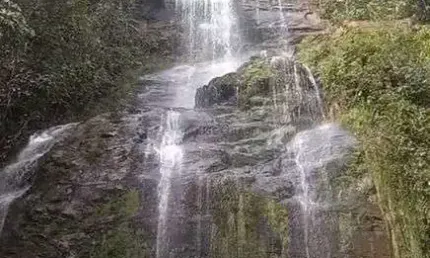 Fazenda à venda na 12,5 Km Do Centro De Buritis, 121, Zona Rural, Buritis