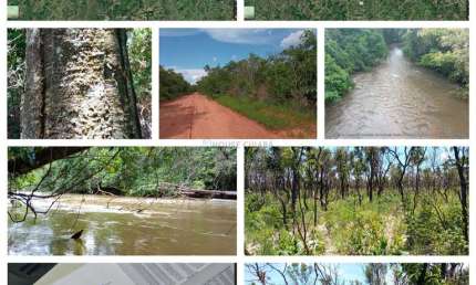 área rural de 150 hectares na região da cidade de Chapada dos Guimarães MT