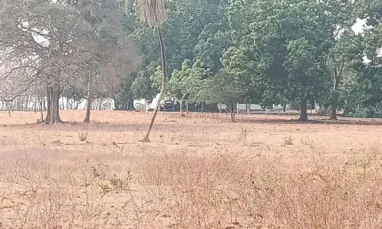 Fazendinha com 100 hectares 15 minutos do trevo do lagarto, na região da comunid