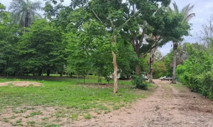 Chácara de 5 hectares na região da comunidade de São Jerônimo em Cuiabá MT.