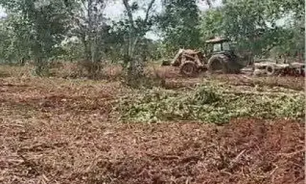 fazenda de 126 alqueires (302,4 Hectares) para dupla aptidão