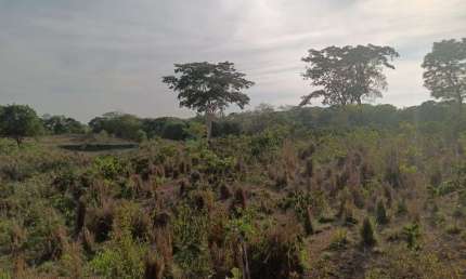 Sitio de 44 hectares 35 km de Cuiabá MT, na região da vila do Aguaçú no distrito