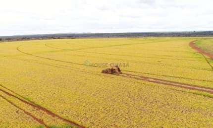 fazenda na região da cidade de Unaí no estado de Minas Gerais